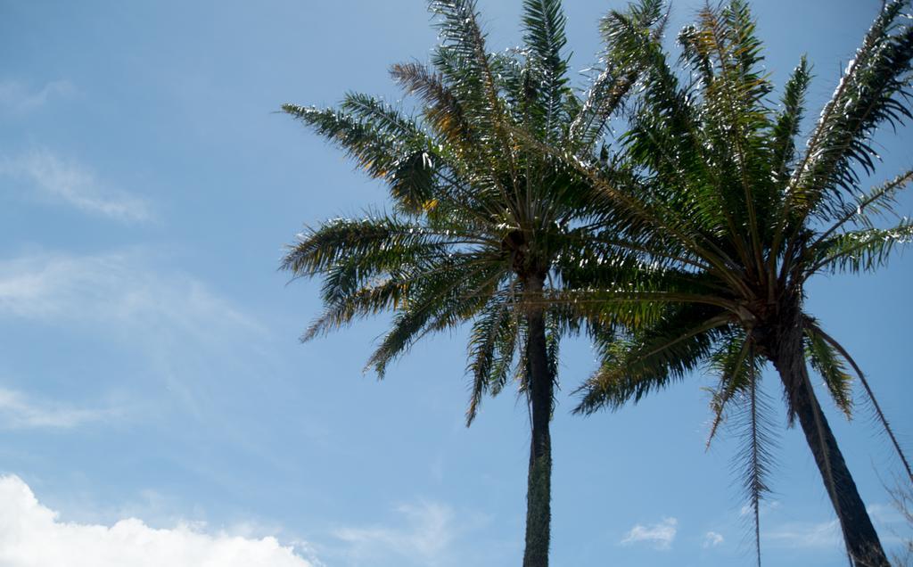 Pousada Vila Flor Da Mata Trancoso Eksteriør bilde